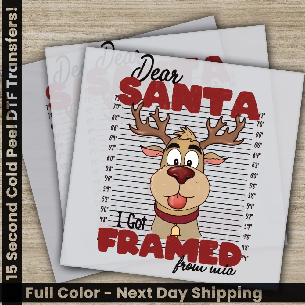 Dear Santa, Christmas DTF Transfers, Ready to Press, Personalized Gifts, Direct to Film, Sublimation Screen Prints,