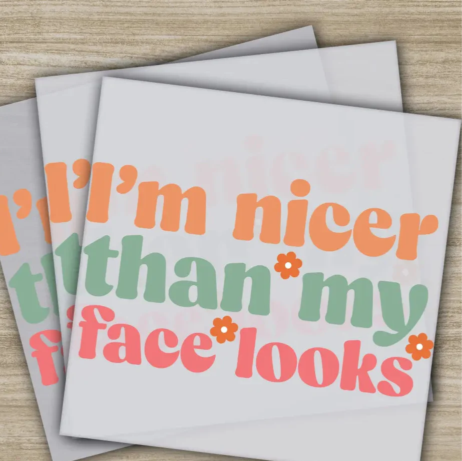 I'm Nice Than My Face Looks, Sarcastic Transfers, Ready to Press, Personalized DTF Transfers, Sarcastic Gifts, Heat Press DTF Transfers